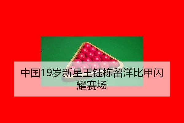 中国19岁新星王钰栋留洋比甲闪耀赛场