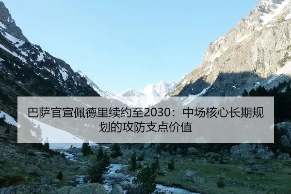 ba-sa-guan-xuan-pei-de-li-xu-yue-zhi-zhong-chang-he-xin-chang-qi-gui-hua-de-gong-fang-zhi-dian-jia-zhi-3-513.jpg